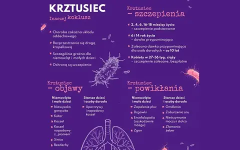 Krztusiec - objawy u dorosłych to uporczywy kaszel. Infografika przedstawia też szczepienia i powikłania.